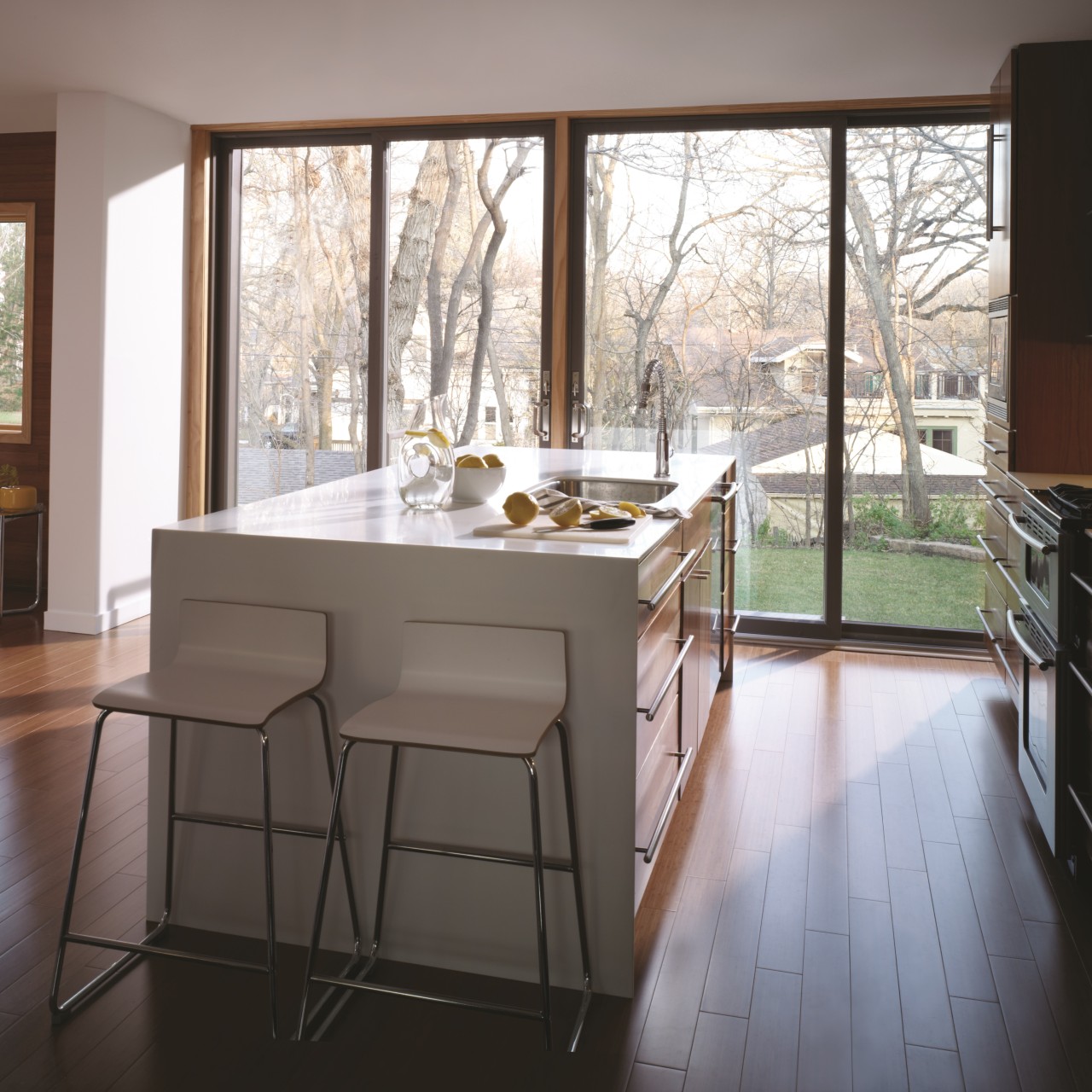 Looking out narroline modern sliding patio doors to a yard.